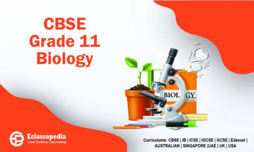 CBSE Grade 11 Biology