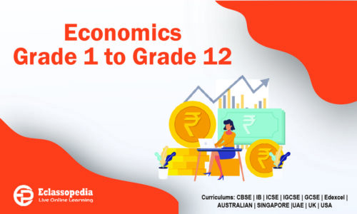 IGCSE 12th GRADE ECONOMICS (0455)