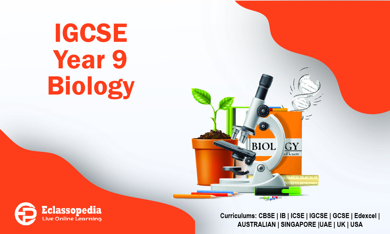 IGCSE Year 9-1 Biology (0970) - Online Biology Tutor