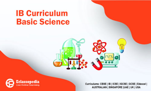 IB MYP Year 6 Basic Science Foundations