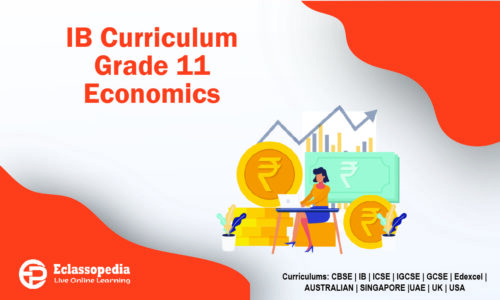 IB Curriculum Year 11 Economics