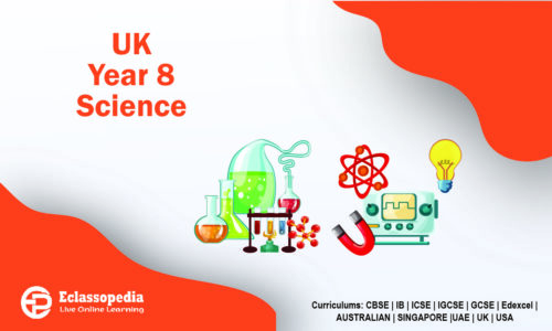 UK Year 8 Science
