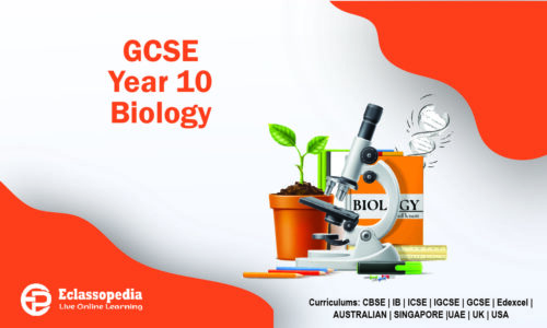 GCSE Year 10 Biology