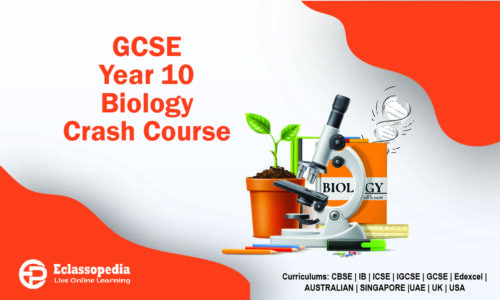 GCSE Year 10 Biology Crash Course