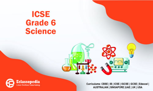 ICSE Grade 6 Science