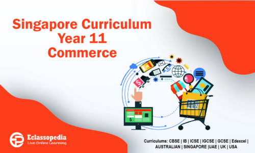 Singapore Curriculum Year 11 Commerce