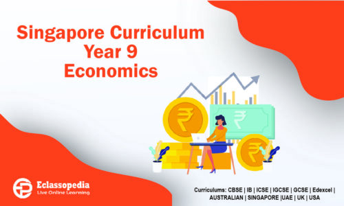 Singapore Curriculum Year 9 Economics