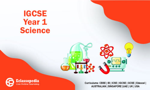 IGCSE Year 1 Science