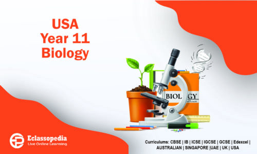 USA Year 11 Biology