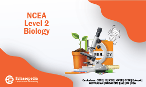 NCEA Level 2 Biology