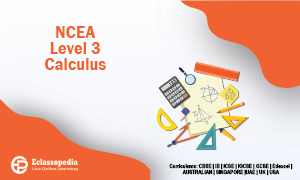 NCEA Level 3 Calculus