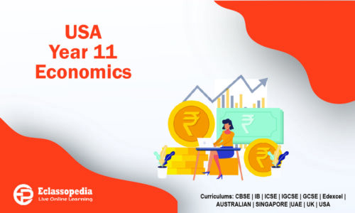 USA Year 11 Economics