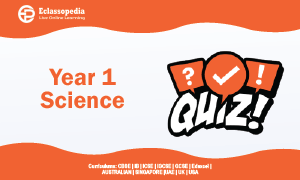 Year 1 Science (Quiz)