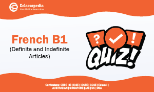 French B1 (Definite and Indefinite Articles)