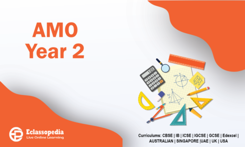 AMO Year 2
