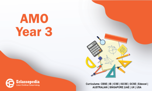 AMO Year 3