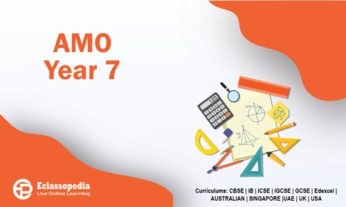 AMO Year 7