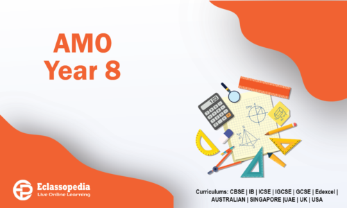 AMO Year 8