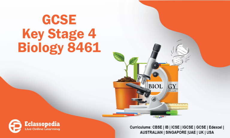 GCSE Key Stage 4 Biology 8461