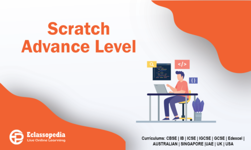 Scratch Advance Level