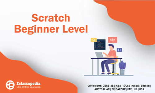 Scratch Beginner Level